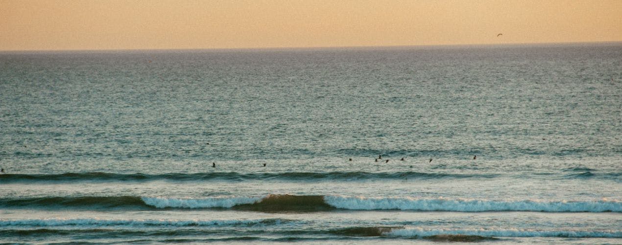 Coworking, Coliving and Surfing in Carcavelos (Portugal)