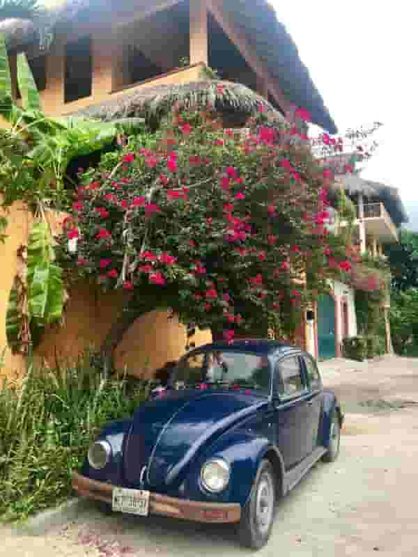 Casa Flow flower street Puerto Escondido