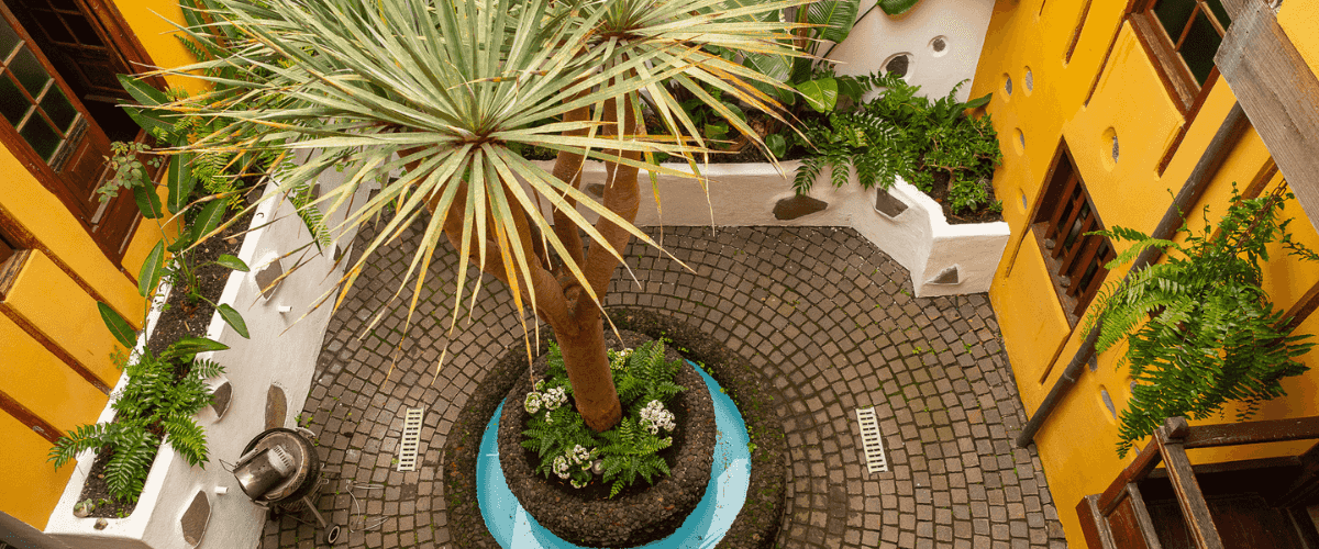 Coliving and Coworking by the Surf
