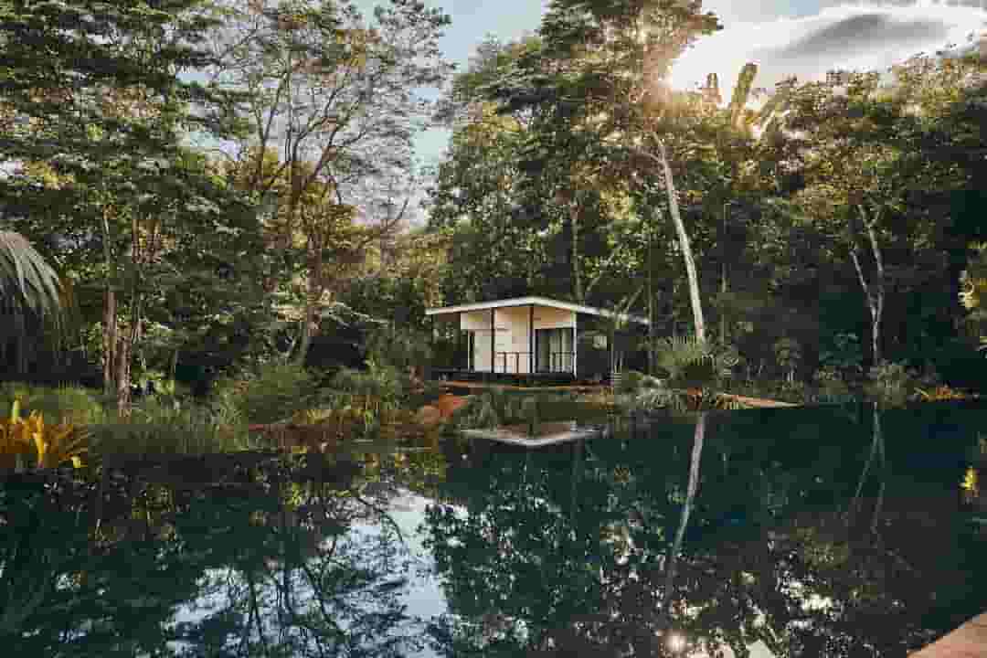 coliving in the green