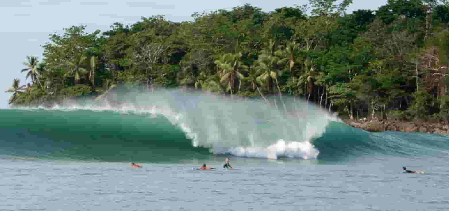amazing tropical wave