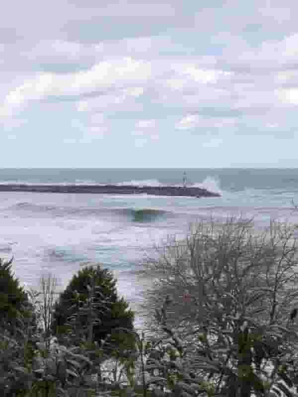 wild ocean