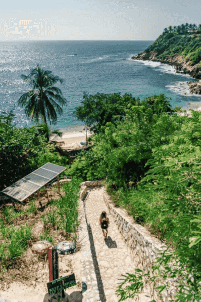 djungle and beach
