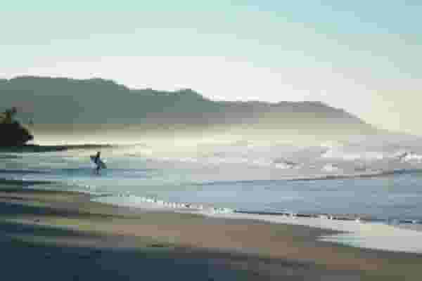 lone surfer