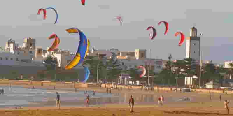 kites everywhere