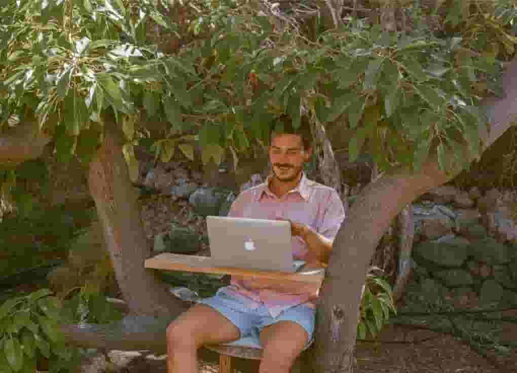 working from a tree