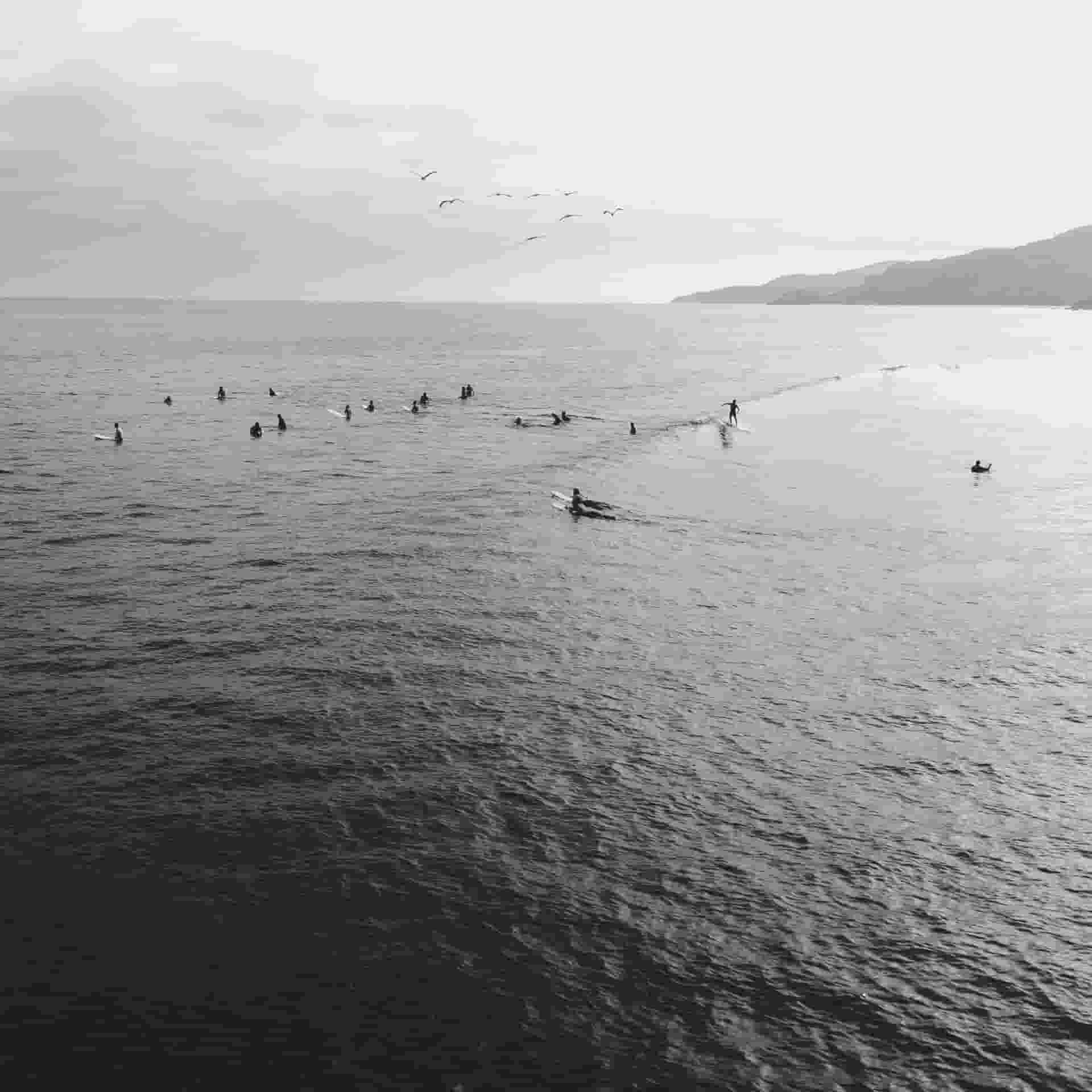 surfers in the ocean
