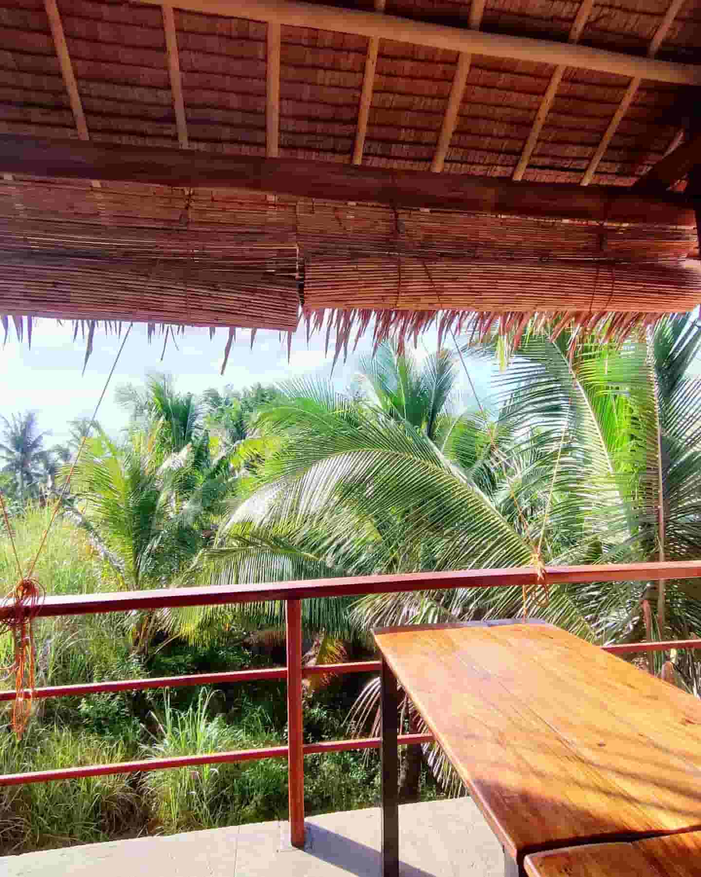 coliving in the jungle