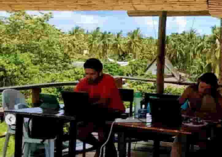 office space among the palm trees