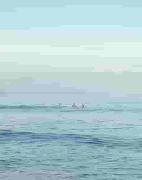 surfers in the water