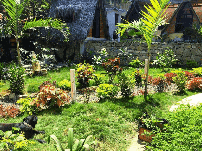 garden