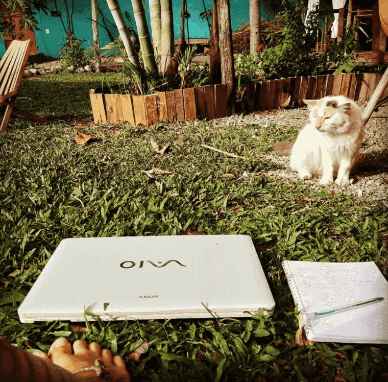 computer in the grass