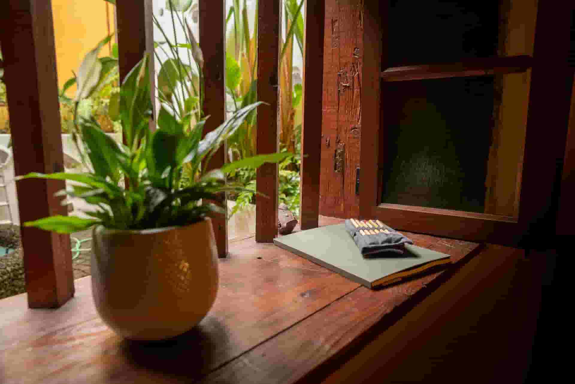 green plant