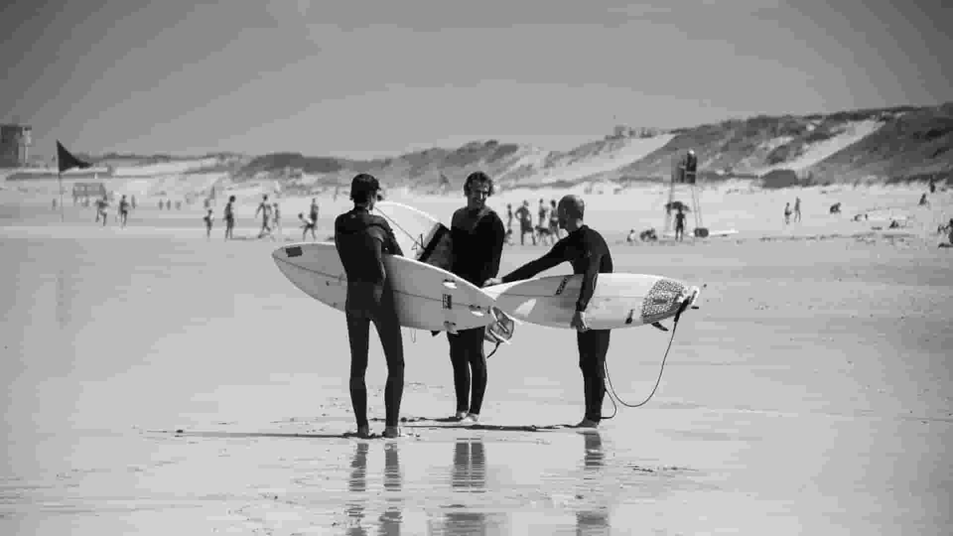 remote workers surfing