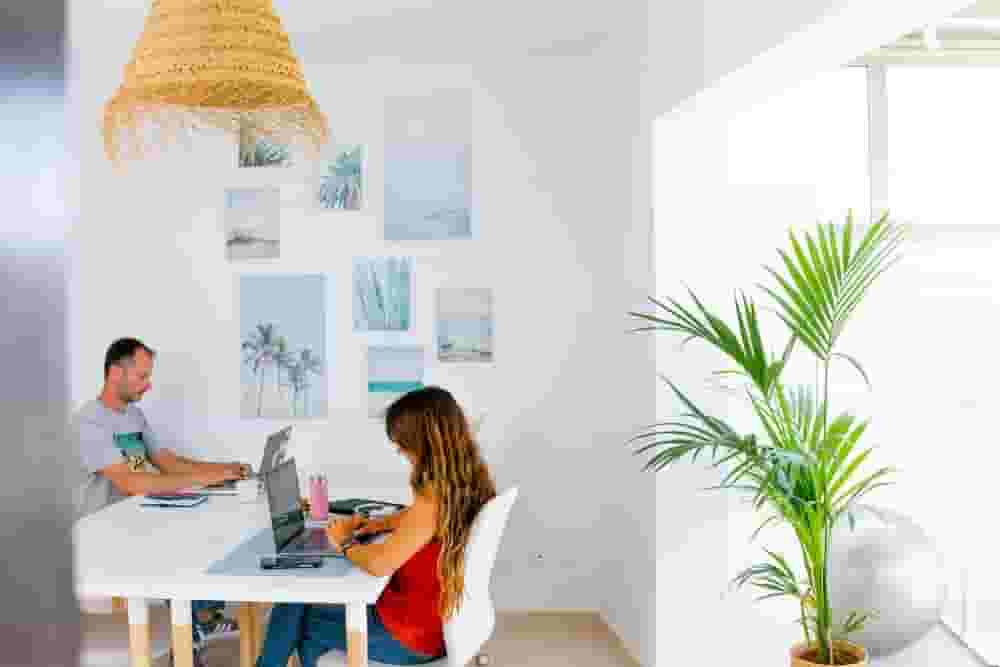 remote working