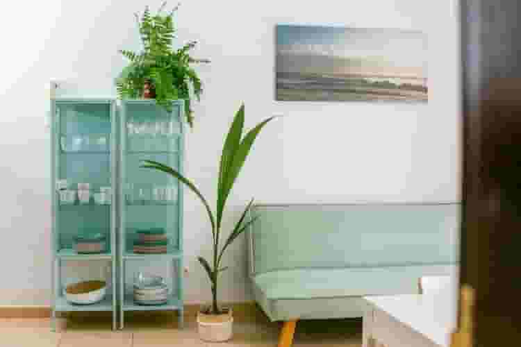hipp couch and plants