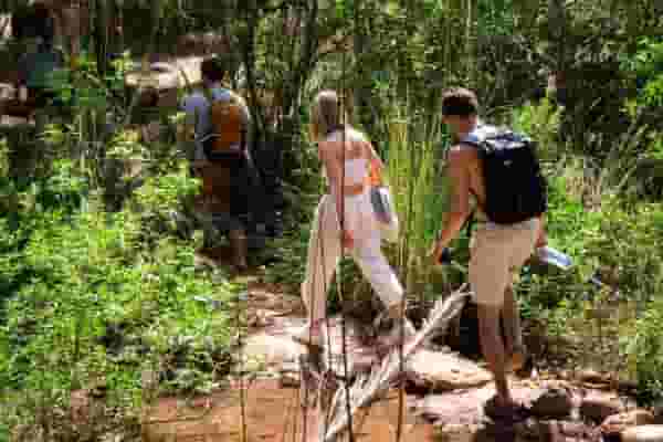 remote workers on a hike