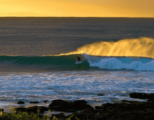 surfing pumping waves
