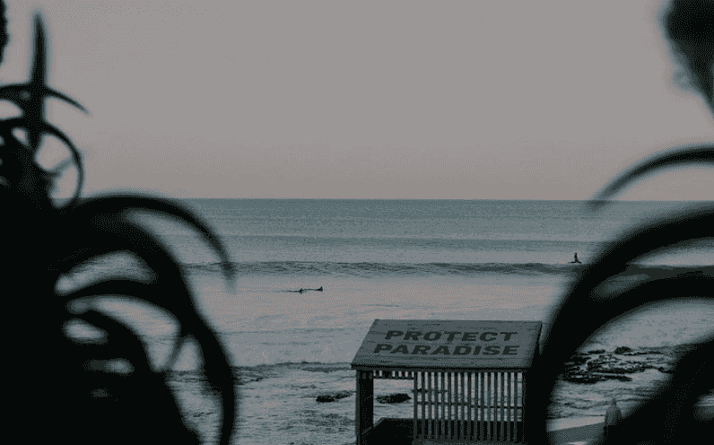 waves and surfers