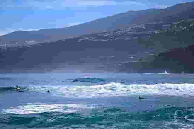 surfers in water