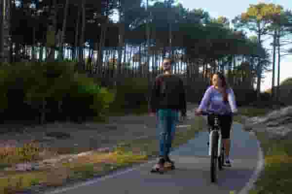 remote workers cruising