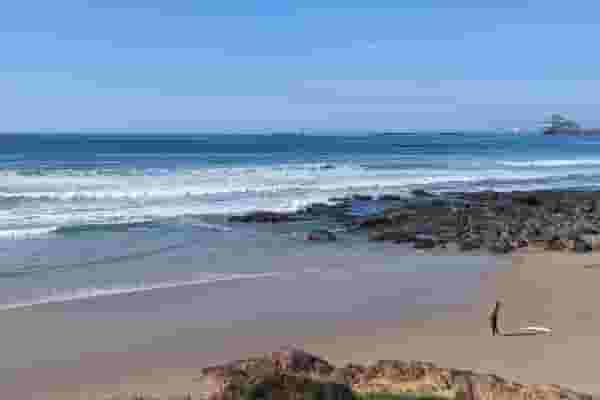 surfer on beach