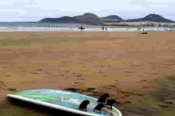 Coliving and Coworking by the Surf