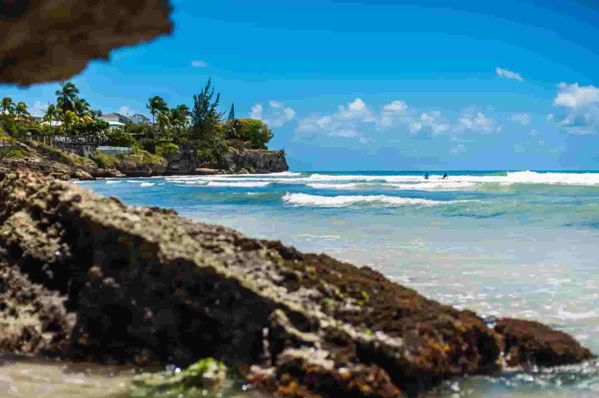 bajan surfers