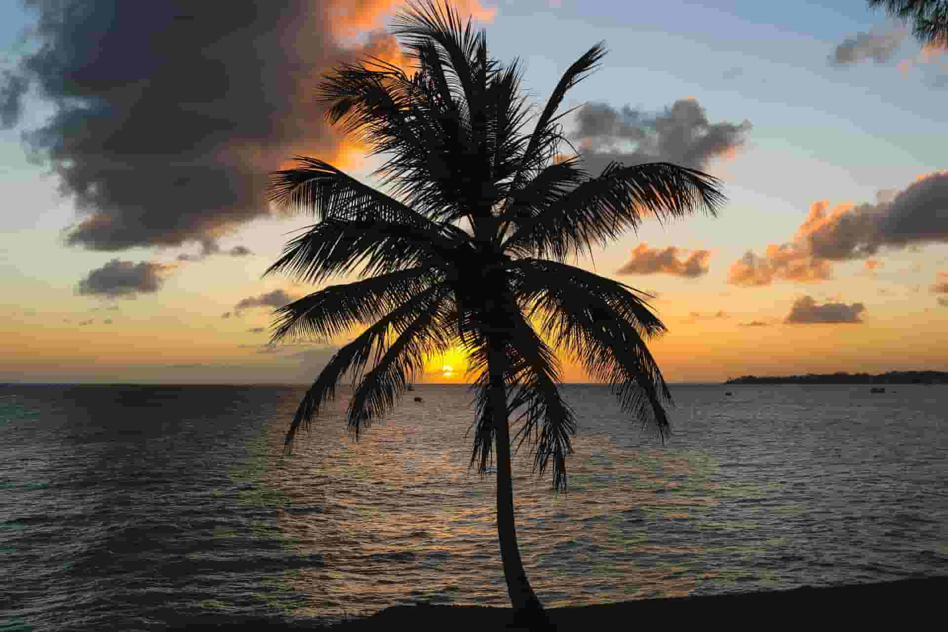 barbados sunset