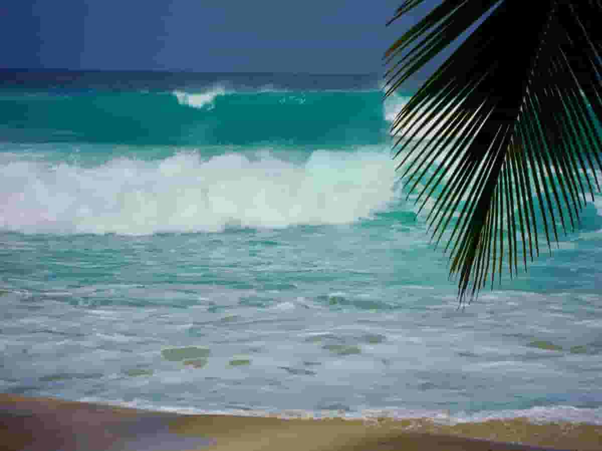 barbados wave