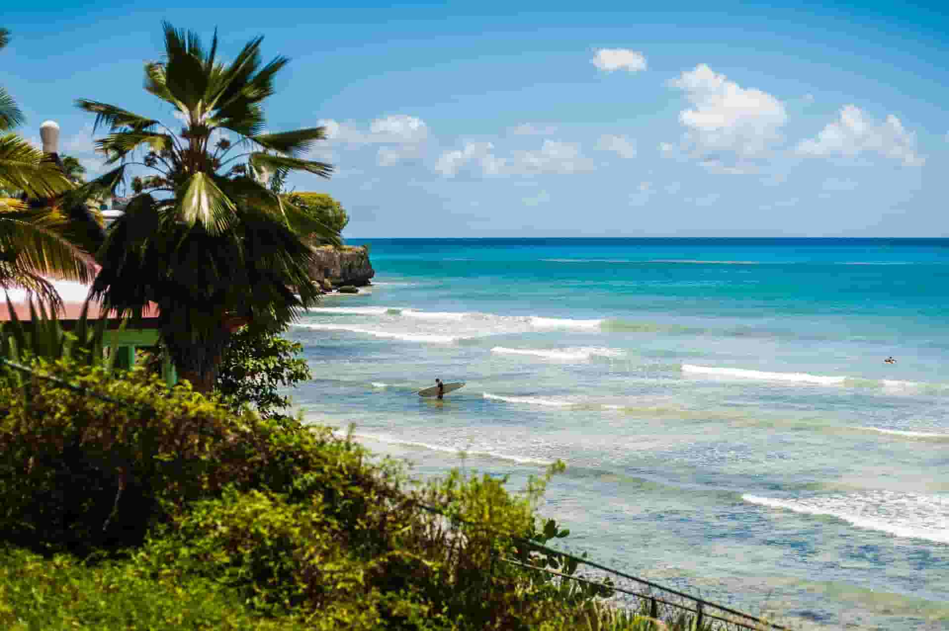 surfing in barbados