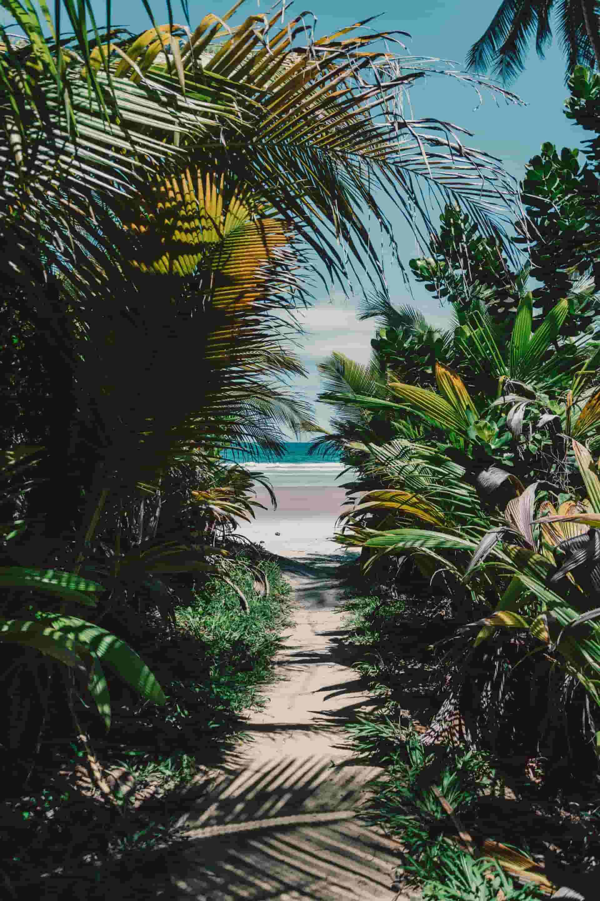 beach in itacaré