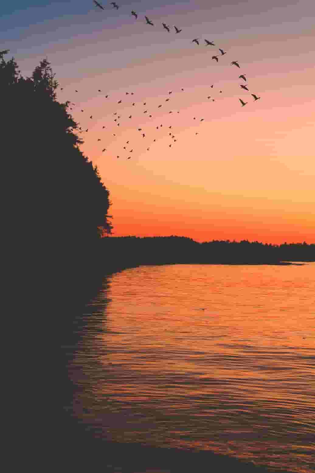 beautiful nature