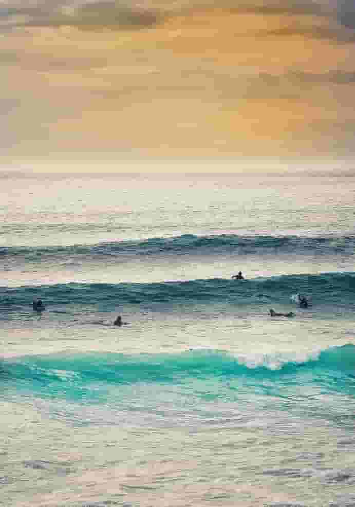 surfers