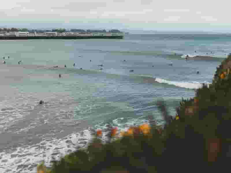 surfers in the water