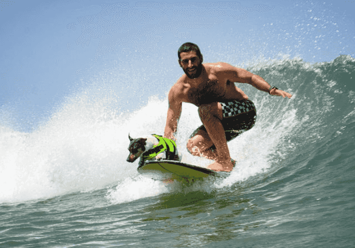 surfing with a dog