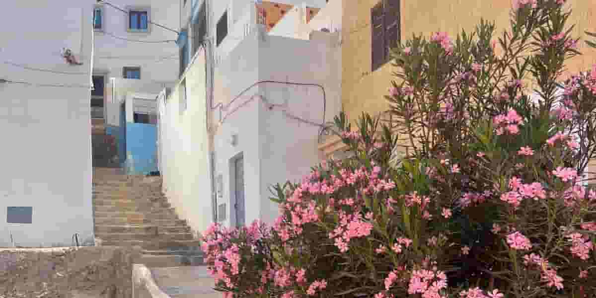 Taghazout village