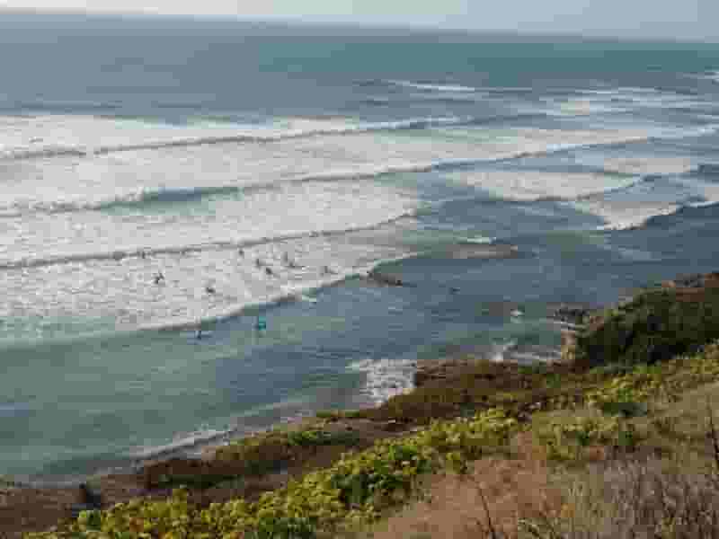 surf