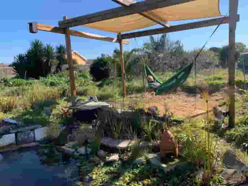 regenerative garden