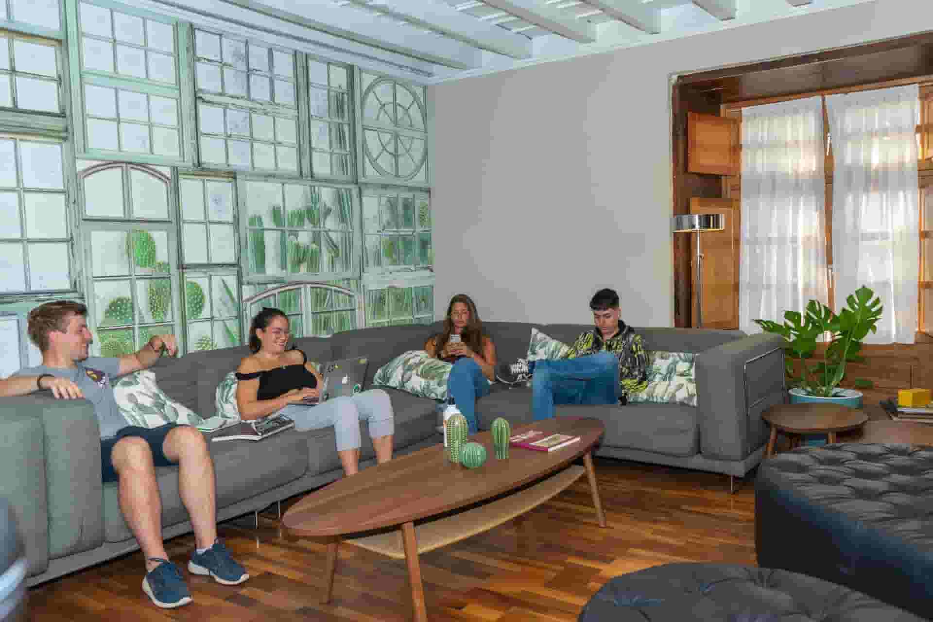 Cactus Coliving