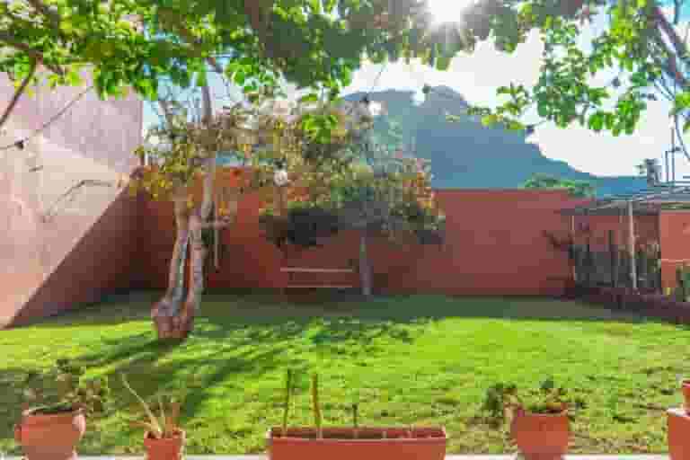 beautiful garden