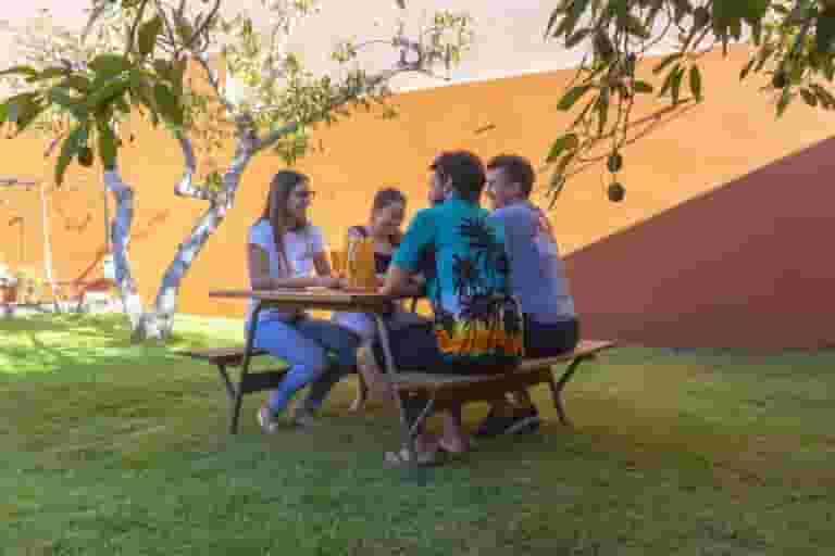 digital nomad community in Tenerife