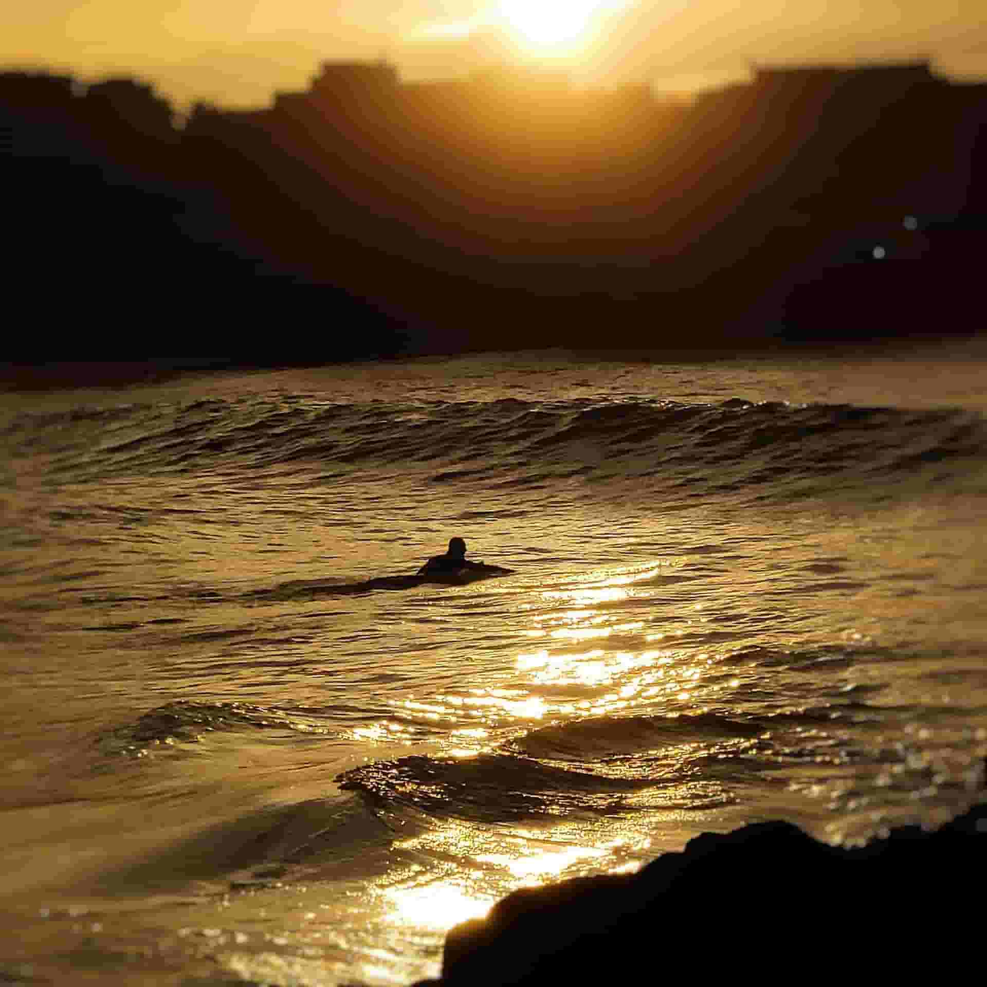 surf in Tenerife