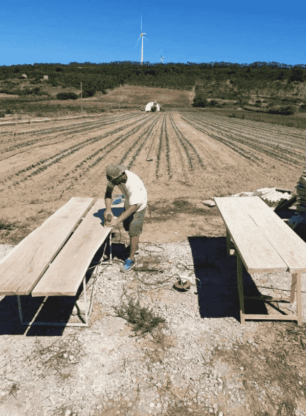 construction in progress