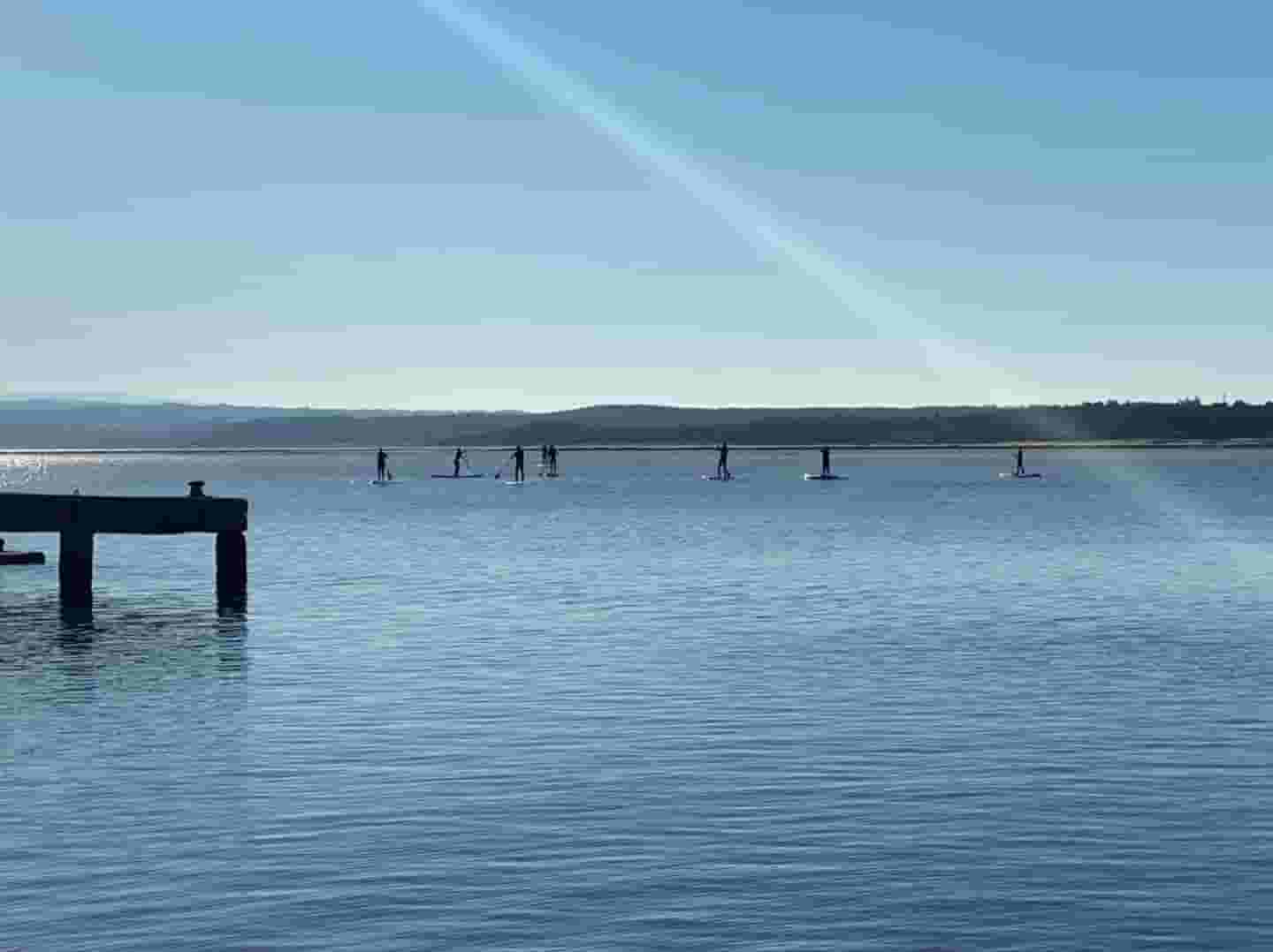 stand up paddle board crew