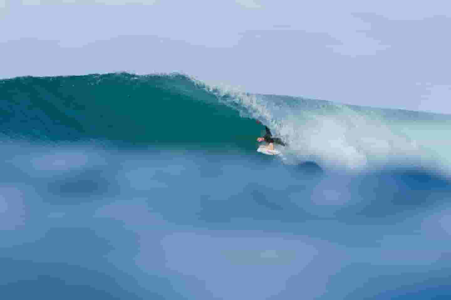 in the barrel
