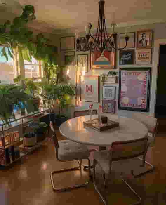 Dining room plants