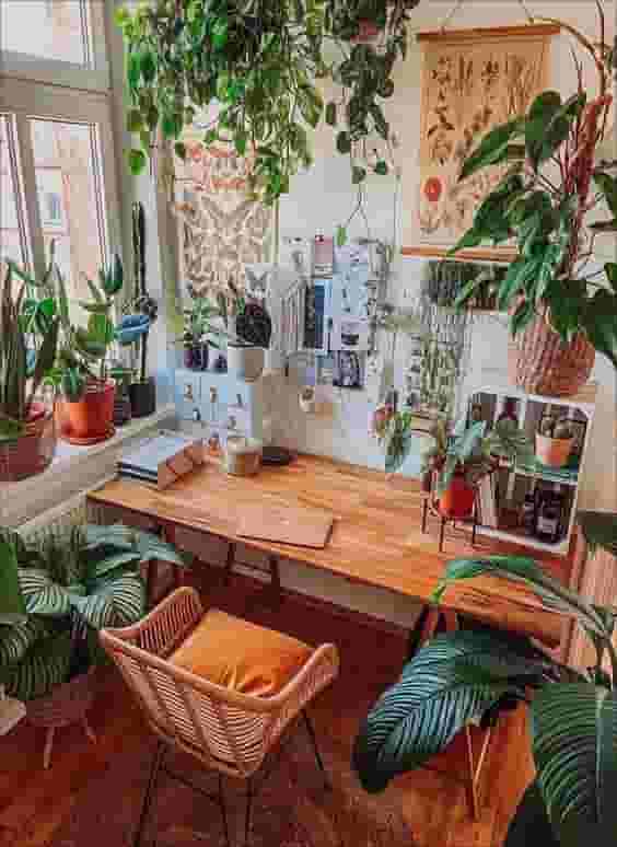 Office plants