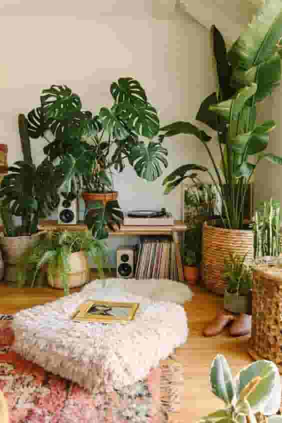 Plant corner