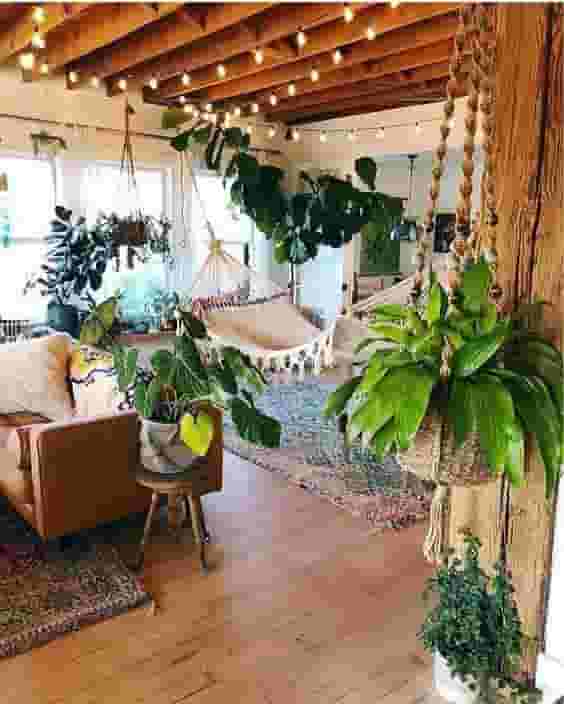 Living room plant party